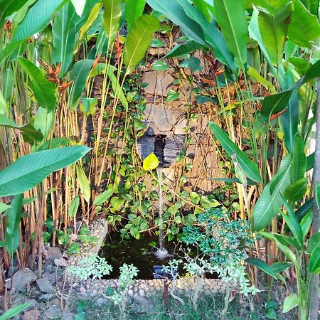 Rock Forest Goa Honeymoon Cottages Calangute Ngoại thất bức ảnh