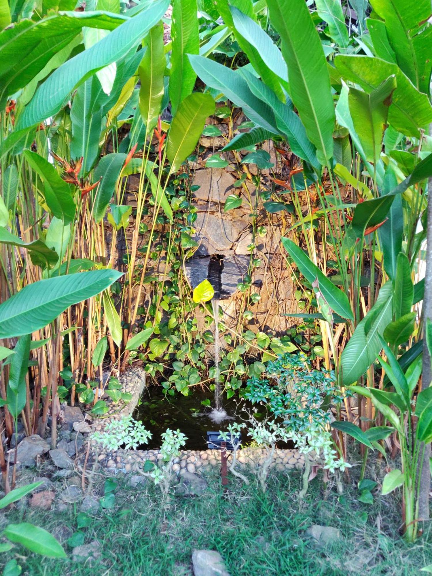 Rock Forest Goa Honeymoon Cottages Calangute Ngoại thất bức ảnh